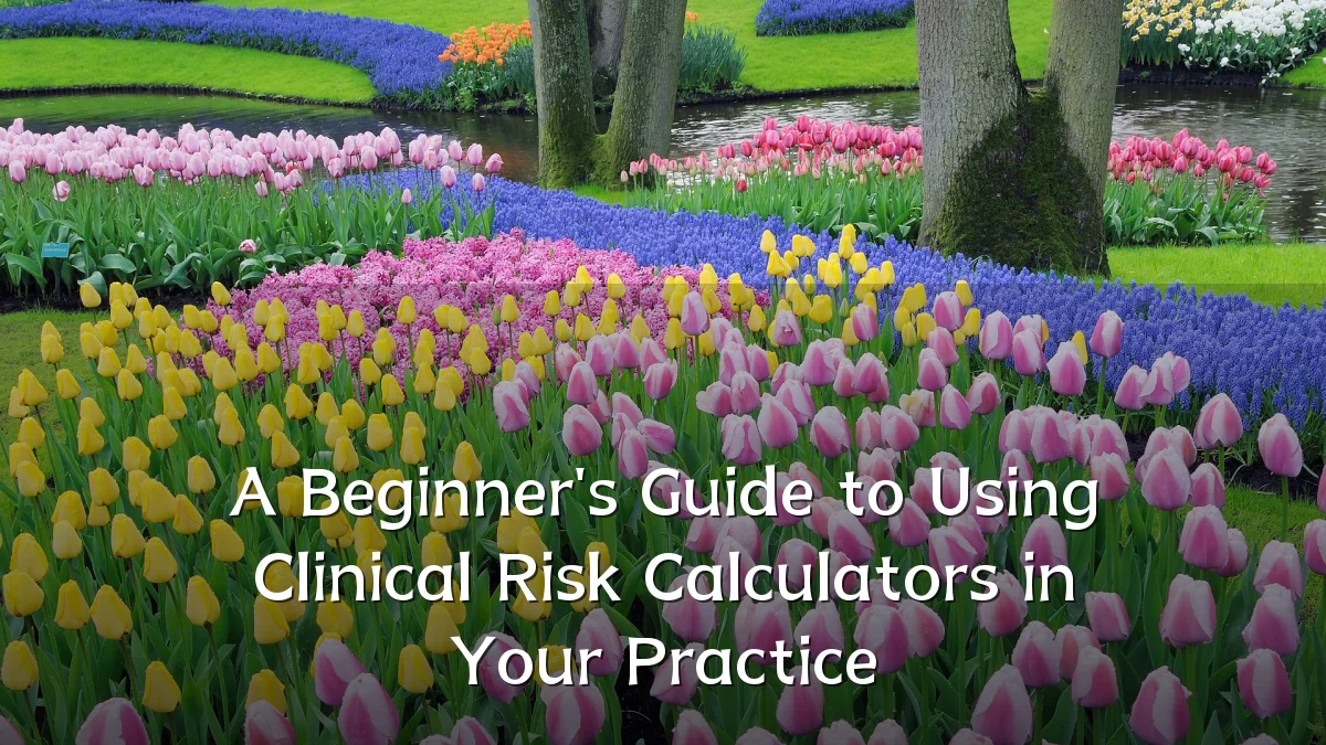 A Beginner's Guide to Using Clinical Risk Calculators in Your Practice