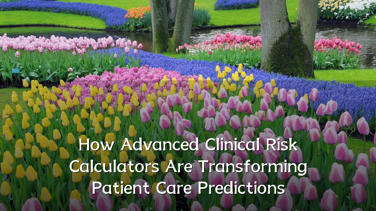 How Advanced Clinical Risk Calculators Are Transforming Patient Care Predictions
