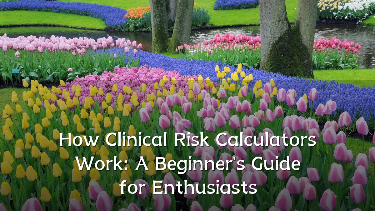How Clinical Risk Calculators Work: A Beginner's Guide for Enthusiasts