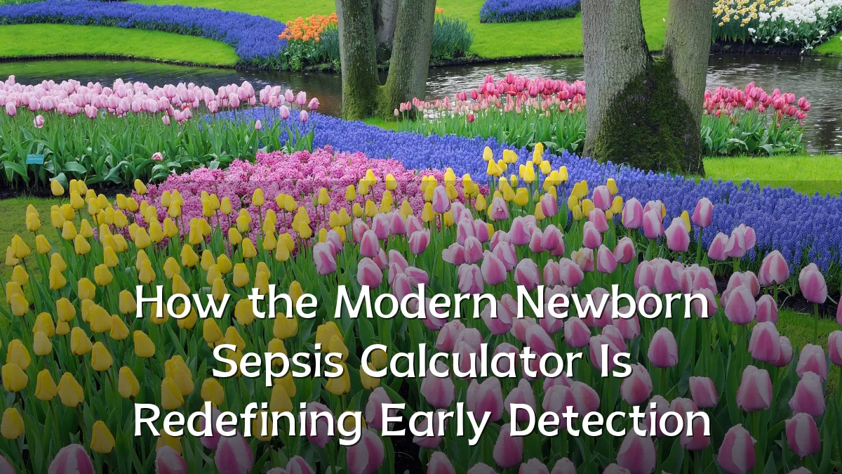 How the Modern Newborn Sepsis Calculator Is Redefining Early Detection