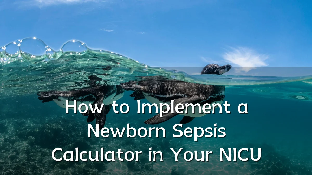 How to Implement a Newborn Sepsis Calculator in Your NICU
