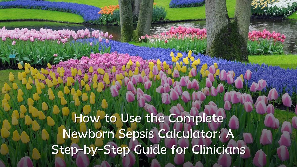 How to Use the Complete Newborn Sepsis Calculator: A Step-by-Step Guide for Clinicians