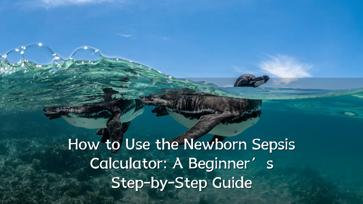 How to Use the Newborn Sepsis Calculator: A Beginner’s Step-by-Step Guide