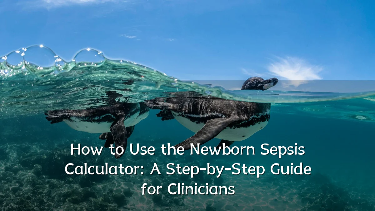 How to Use the Newborn Sepsis Calculator: A Step-by-Step Guide for Clinicians