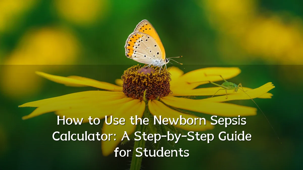 How to Use the Newborn Sepsis Calculator: A Step-by-Step Guide for Students