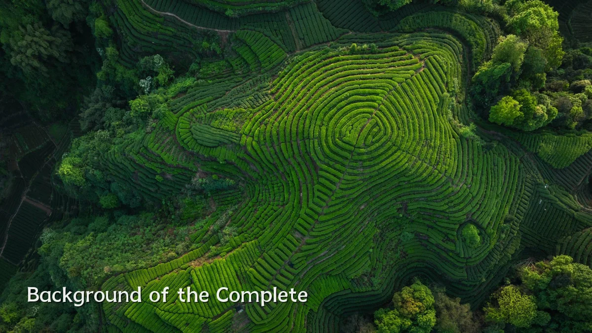 Background of the Complete