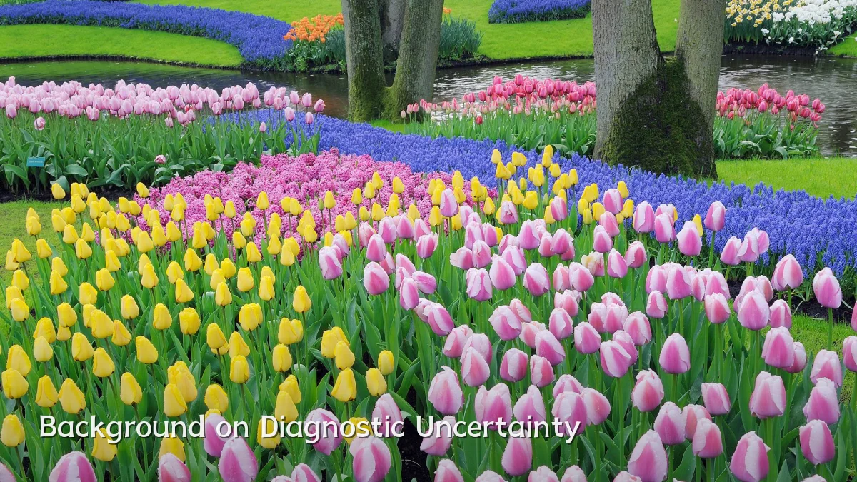 Background on Diagnostic Uncertainty
