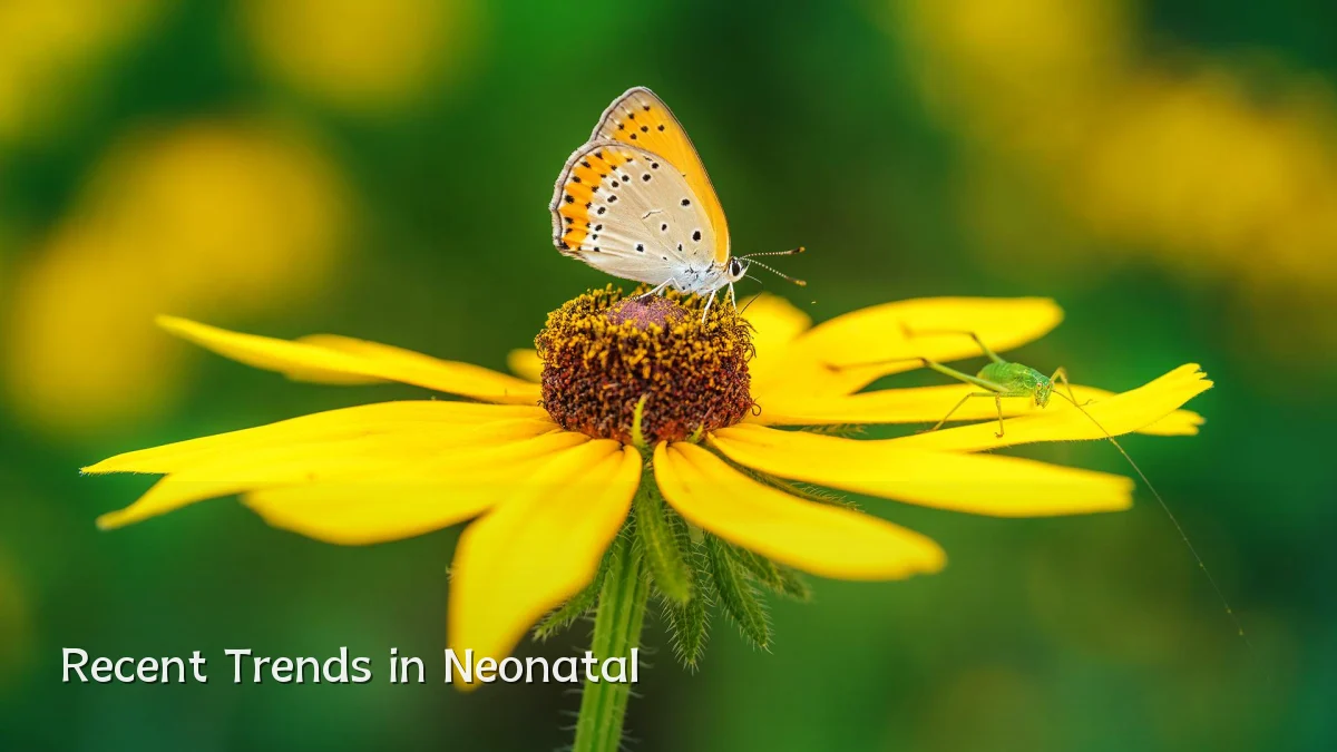 Recent Trends in Neonatal