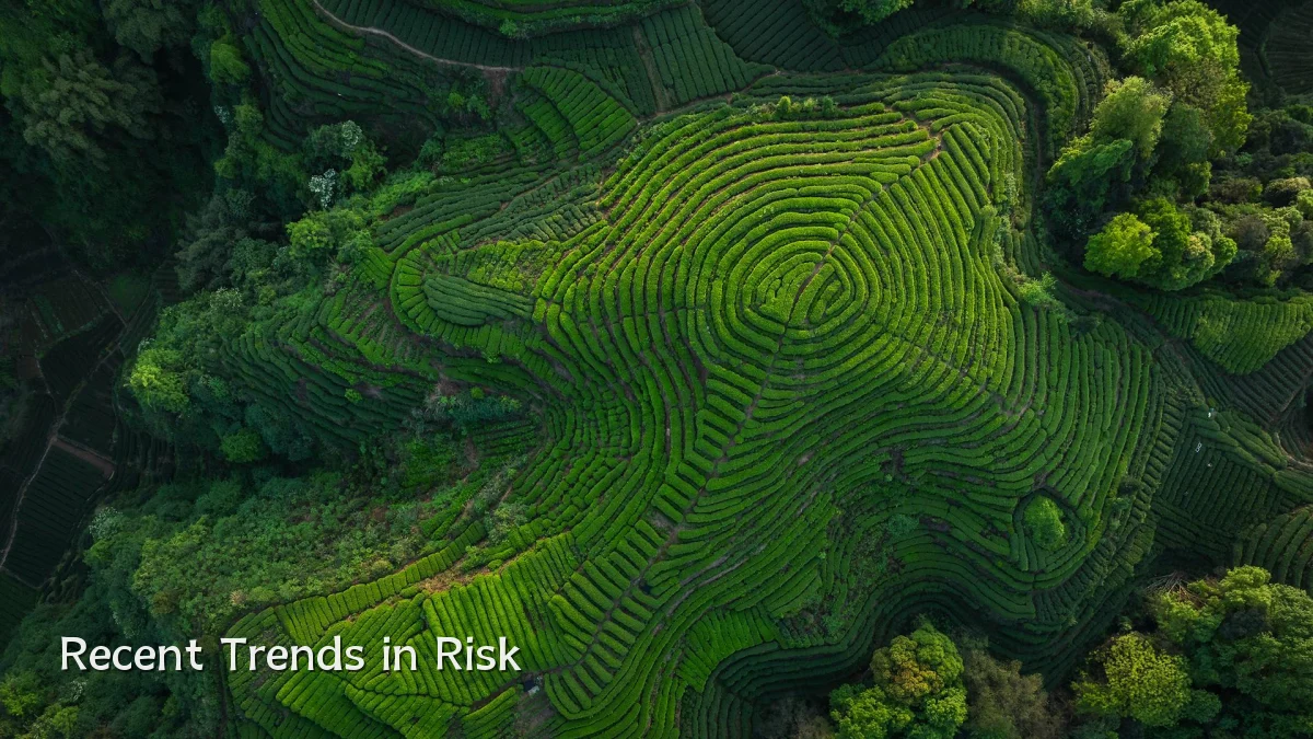 Recent Trends in Risk