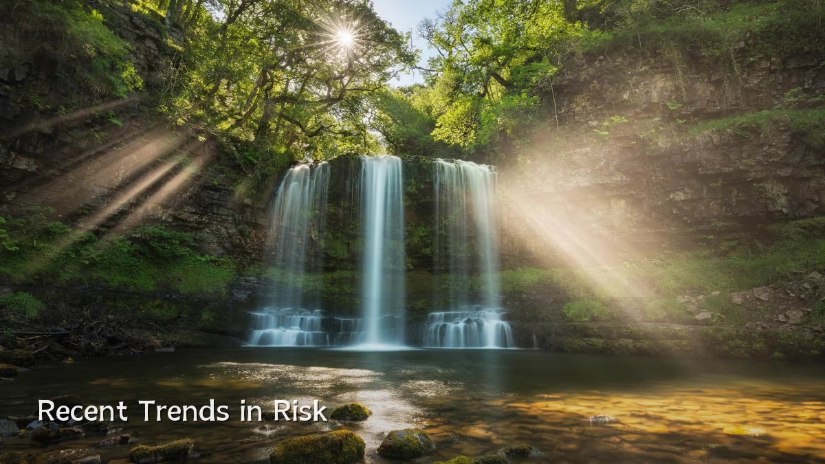 Recent Trends in Risk