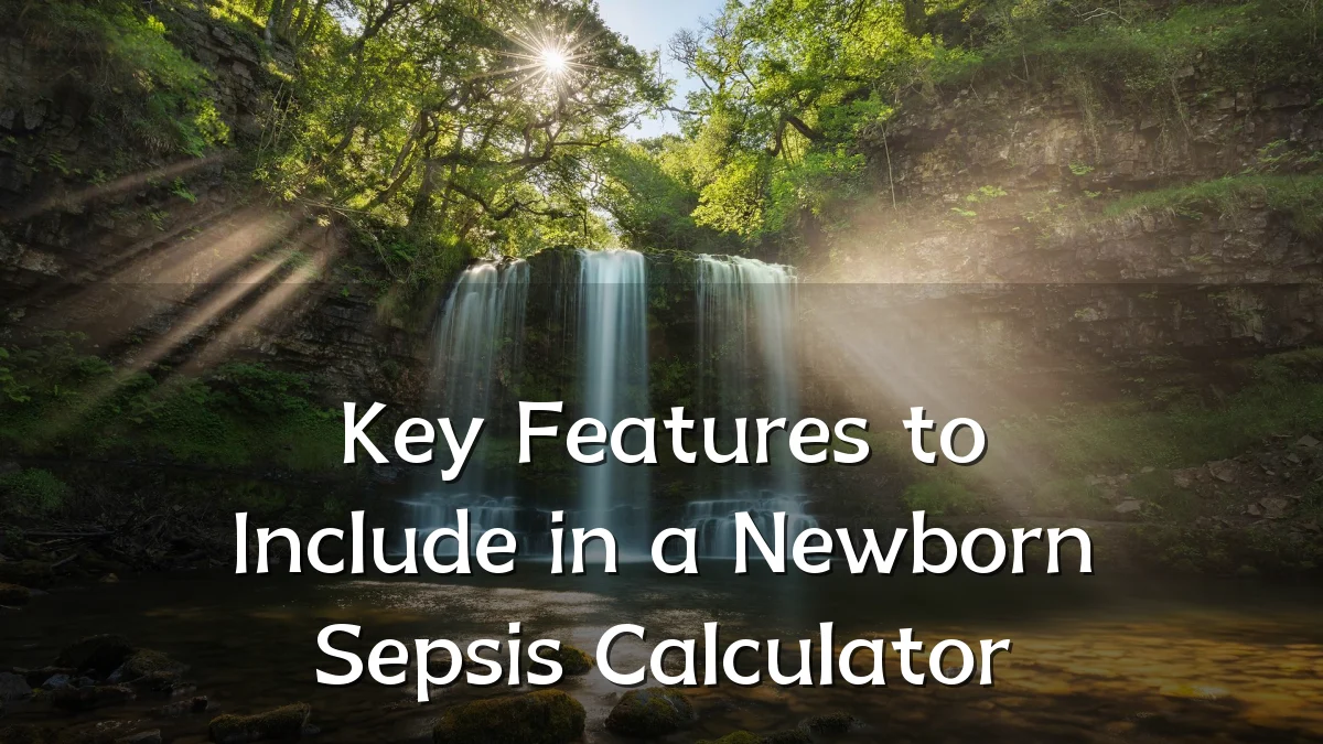 Key Features to Include in a Newborn Sepsis Calculator