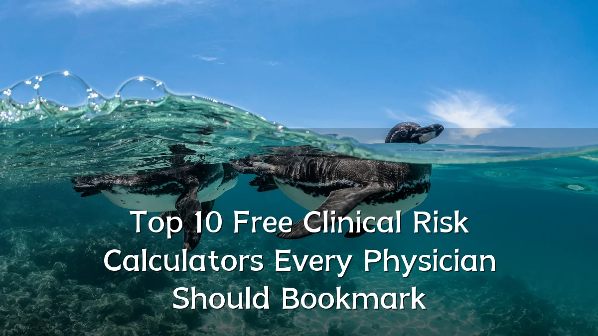 Top 10 Free Clinical Risk Calculators Every Physician Should Bookmark