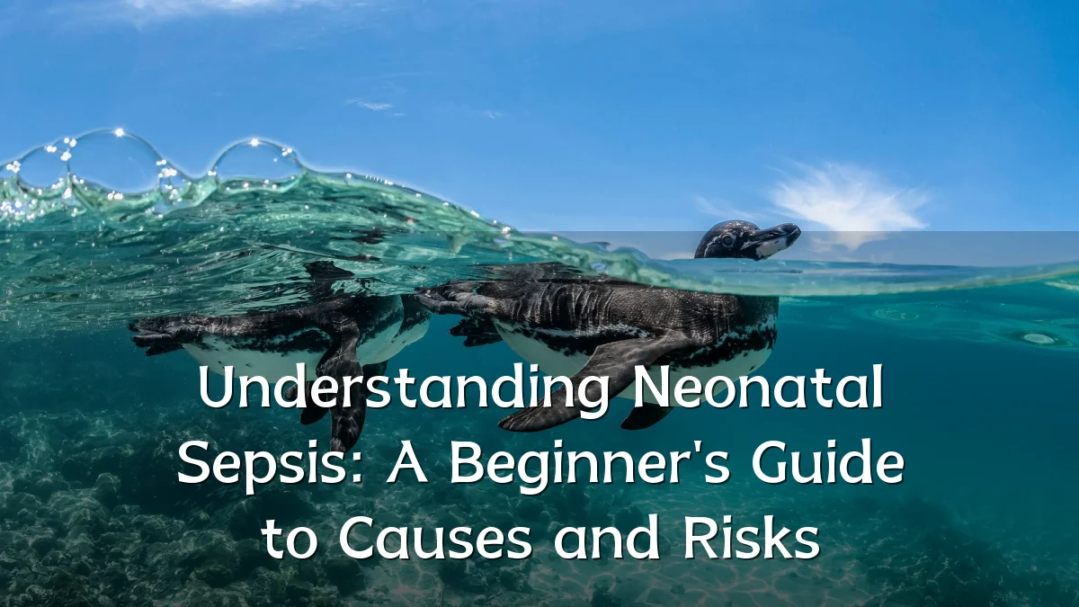Understanding Neonatal Sepsis: A Beginner's Guide to Causes and Risks