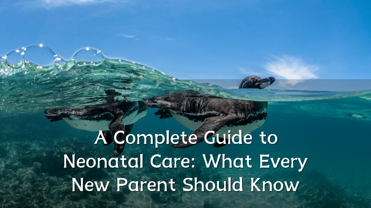 A Complete Guide to Neonatal Care: What Every New Parent Should Know