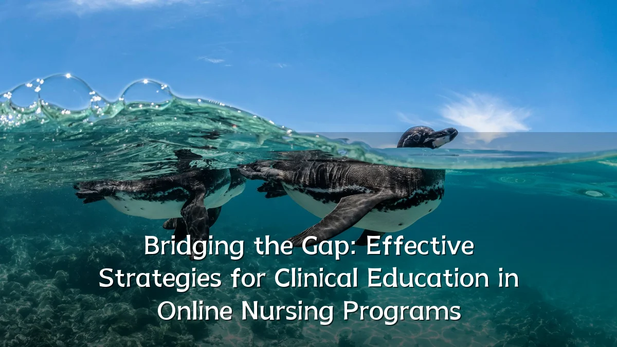 Bridging the Gap: Effective Strategies for Clinical Education in Online Nursing Programs