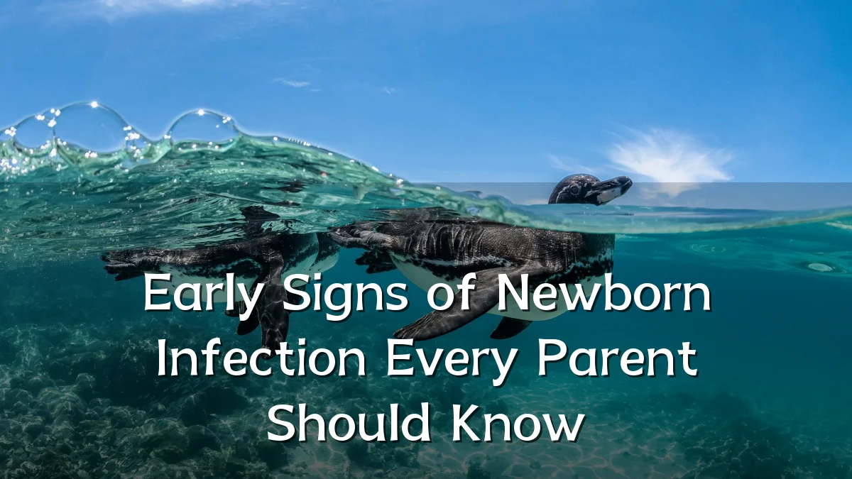 Early Signs of Newborn Infection Every Parent Should Know