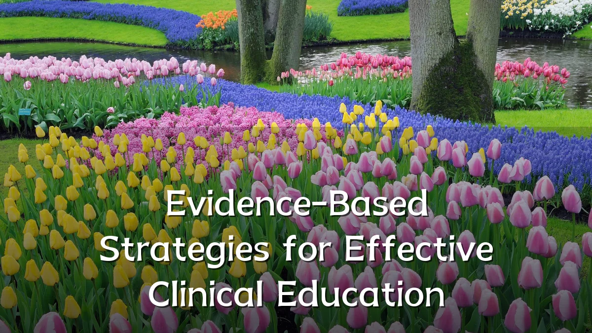 Evidence-Based Strategies for Effective Clinical Education