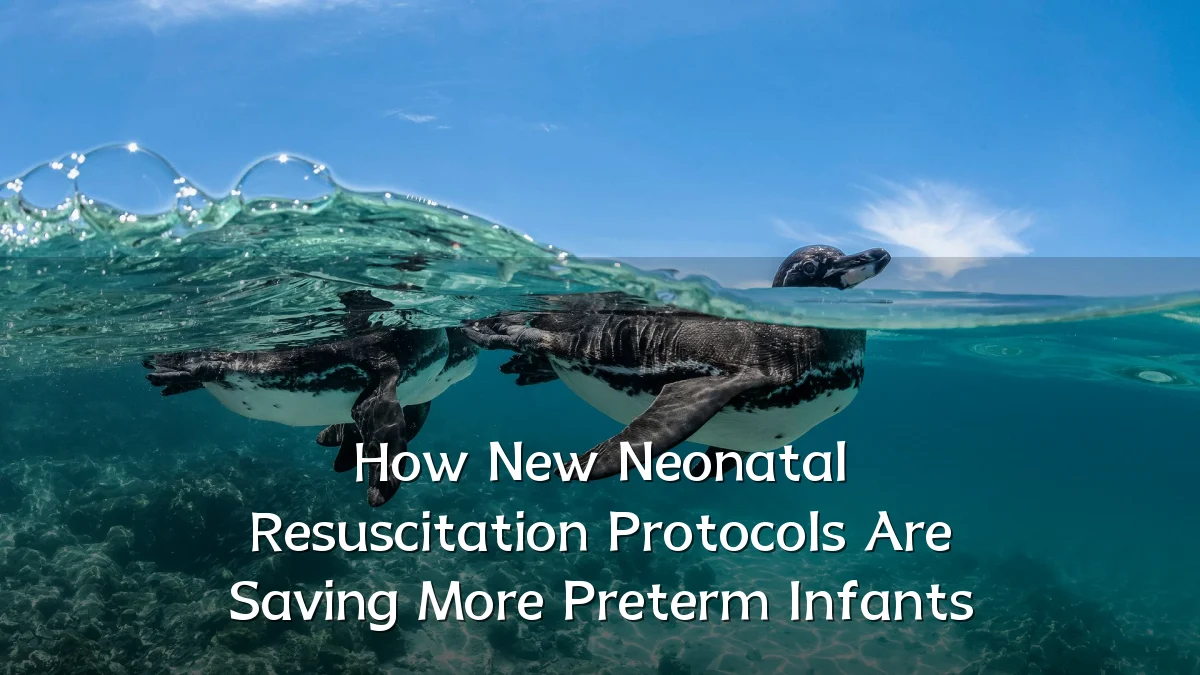 How New Neonatal Resuscitation Protocols Are Saving More Preterm Infants