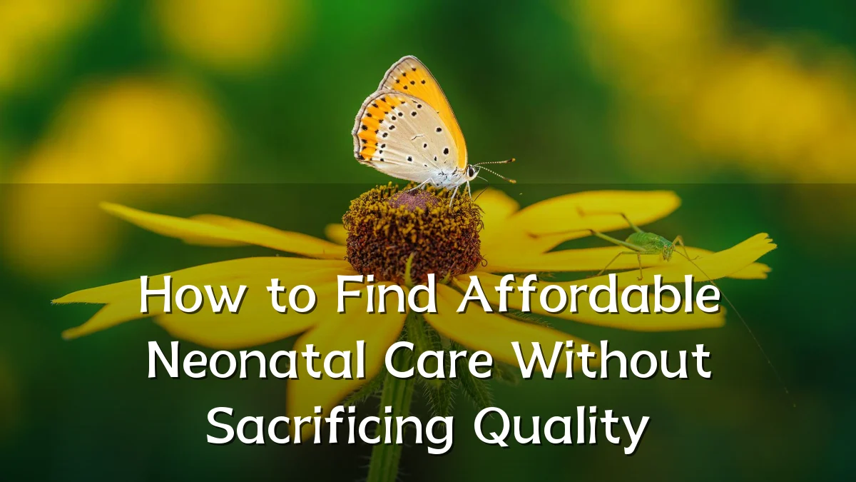 How to Find Affordable Neonatal Care Without Sacrificing Quality