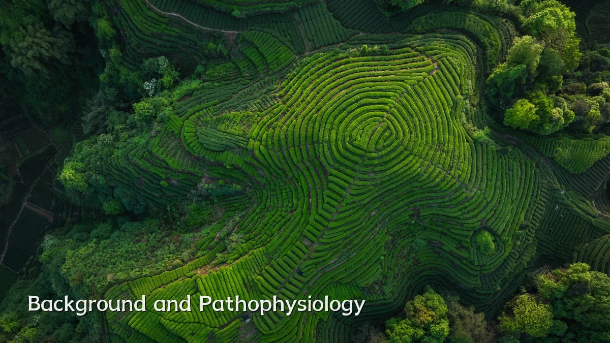 Background and Pathophysiology