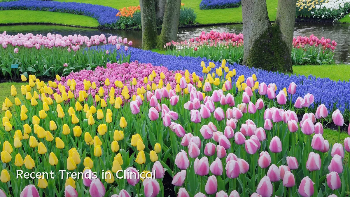 Recent Trends in Clinical