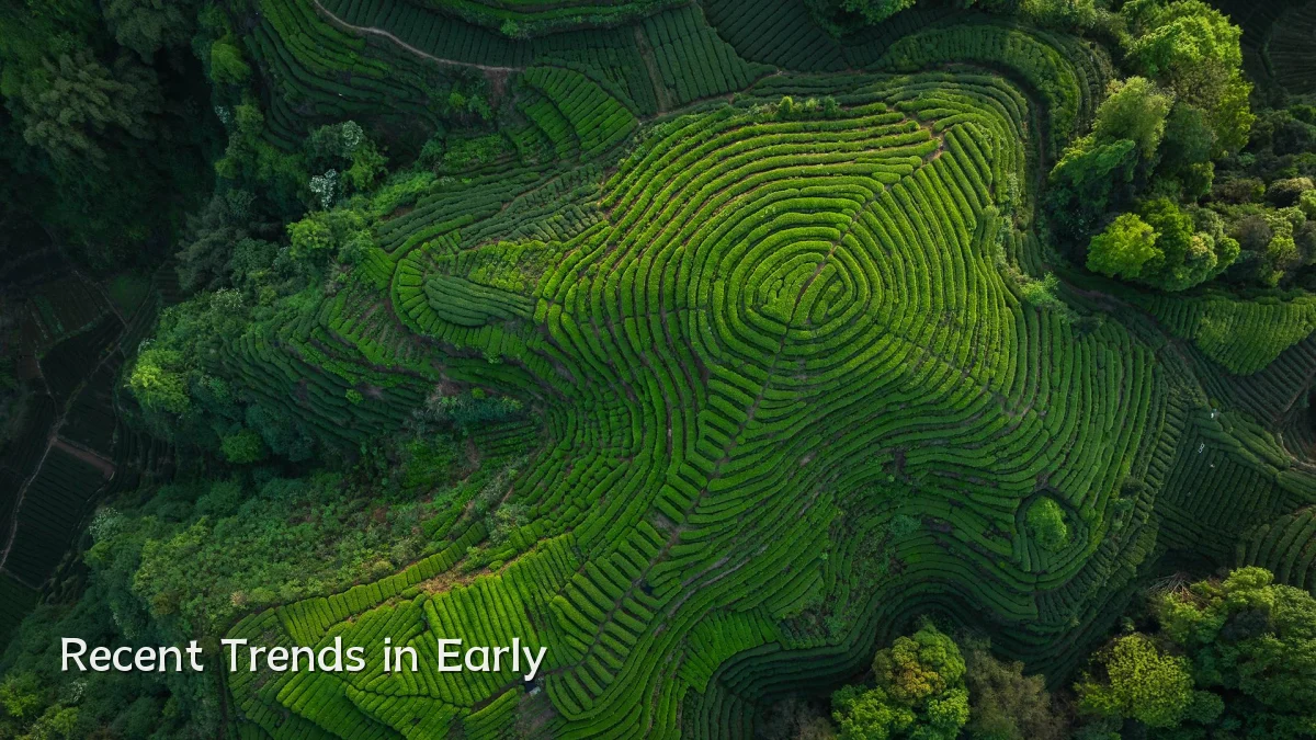 Recent Trends in Early