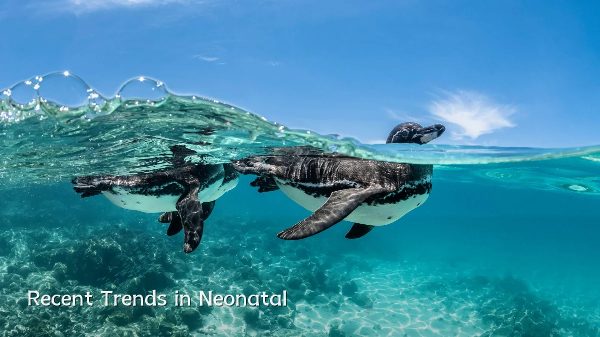 Recent Trends in Neonatal