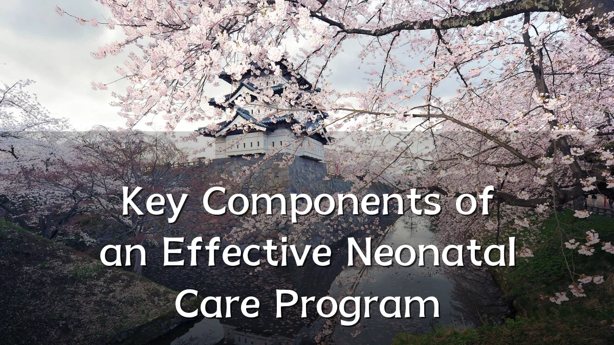 Key Components of an Effective Neonatal Care Program