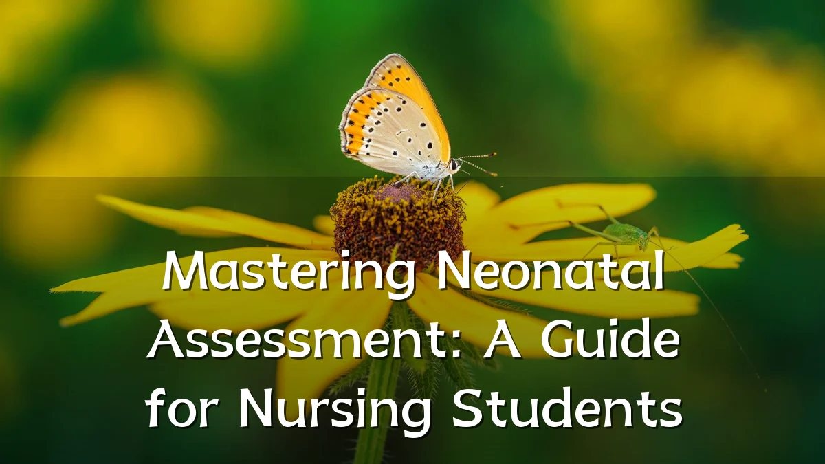 Mastering Neonatal Assessment: A Guide for Nursing Students